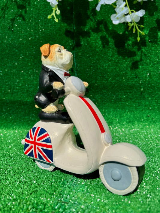Şık İngiliz Bulldog ve Scooter Polyester Dekoratif Heykel